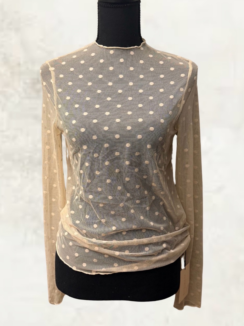 SHEIN Beige Polka Dot Sheer Long-Sleeve Top
